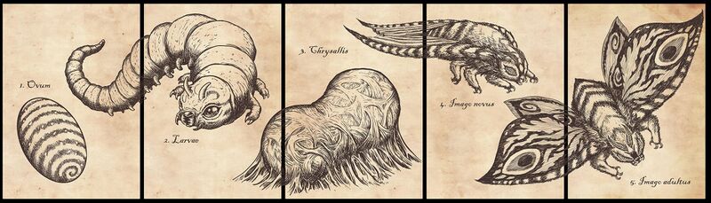 File:Mothra Queen of the Monsters - Interconnecting Mothra Morphology Back Covers.jpg