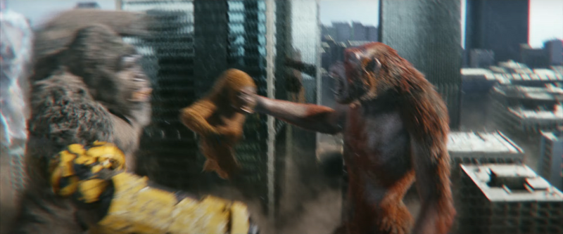 File:GxK - Kong, Skar and Suko.png