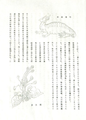 Thumbnail for version as of 20:33, 9 February 2021