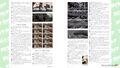 Thumbnail for version as of 00:02, 27 May 2024