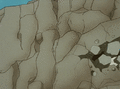 Thumbnail for version as of 23:20, 31 May 2018