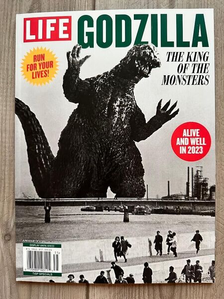File:LIFE Godzilla 2023.jpeg