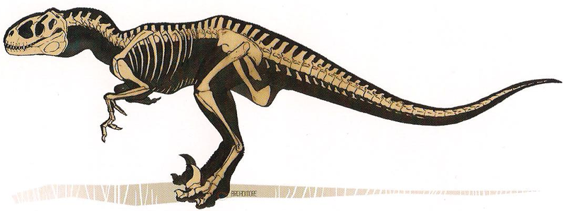 File:Venatosaurus skeleton.png