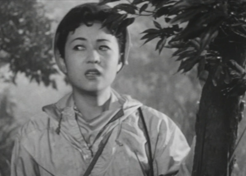 File:Y Shinjo.png