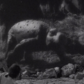 Thumbnail for version as of 00:44, 30 January 2019