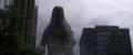 Thumbnail for version as of 14:00, 17 November 2020