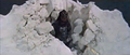 Thumbnail for version as of 17:58, 23 July 2016