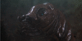 Thumbnail for version as of 22:41, 22 February 2019