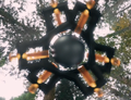 Thumbnail for version as of 02:45, 31 October 2022