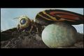 Thumbnail for version as of 17:47, 23 July 2016