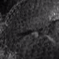 Thumbnail for version as of 00:45, 19 February 2019