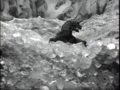 Thumbnail for version as of 17:51, 23 July 2016