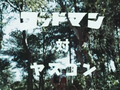 Thumbnail for version as of 04:29, 18 July 2021