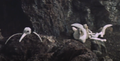 Thumbnail for version as of 22:05, 7 May 2019
