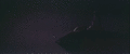 Thumbnail for version as of 22:38, 30 August 2021