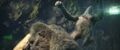 Thumbnail for version as of 22:15, 9 May 2024