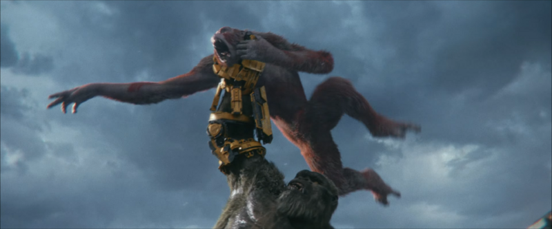 File:37916cf7-f060-4981-a230-ae6522a89f55.png