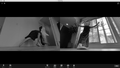 Thumbnail for version as of 15:52, 8 May 2021
