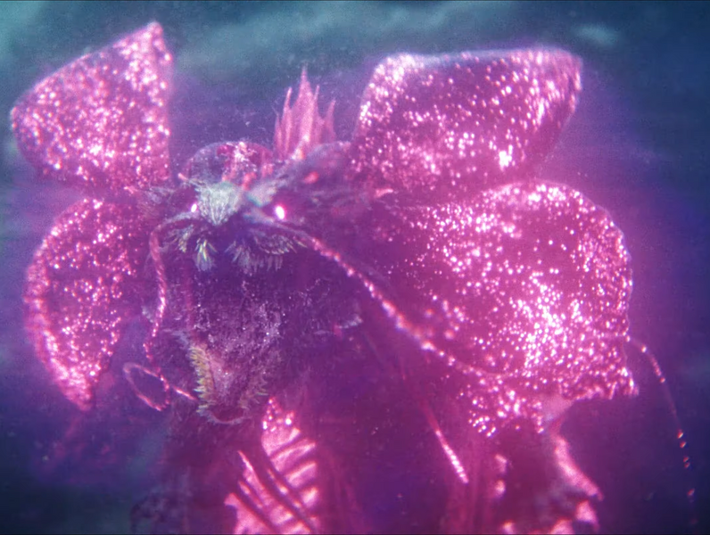 File:Tiamat24.png