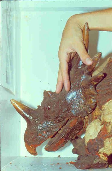 File:Styracosaurus 1983 2.jpg
