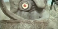 Thumbnail for version as of 18:32, 23 July 2016