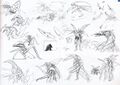 Thumbnail for version as of 00:34, 20 October 2021