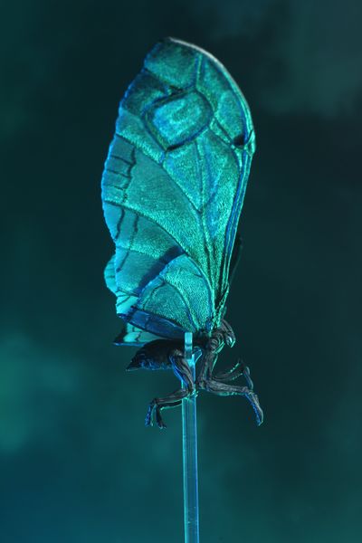 File:NECA Mothra Poster Version 9.jpg