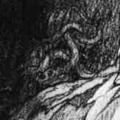 Thumbnail for version as of 02:47, 10 June 2022