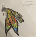 Thumbnail for version as of 17:48, 21 May 2025