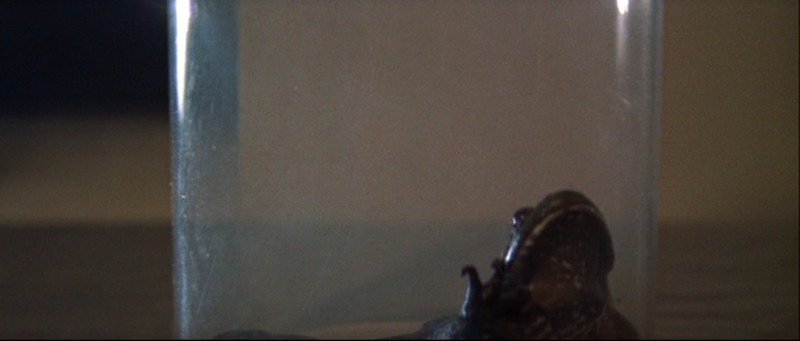 File:Liquid Toad - 8.png