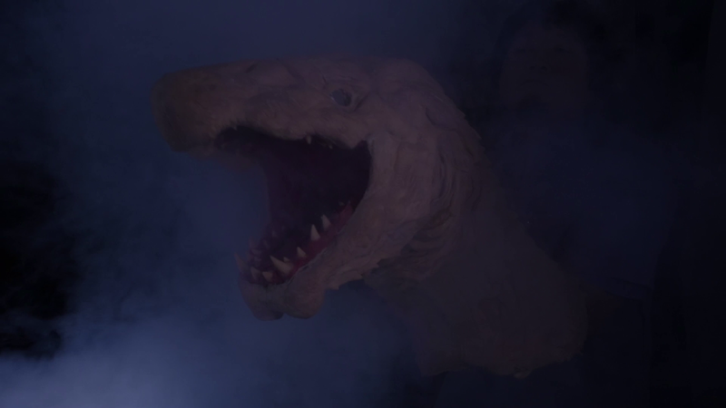 File:Vlcsnap-2020-12-04-08h57m39s176.png