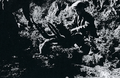 Thumbnail for version as of 04:12, 2 January 2021