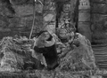 Thumbnail for version as of 22:05, 30 March 2019