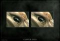 Thumbnail for version as of 12:27, 2 August 2017