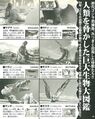 Thumbnail for version as of 23:30, 9 October 2023