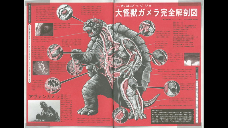 File:C55531f37f8492459c007cc34c4e3f68.png