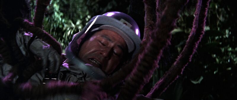 File:Mothra - Chujo wrapped in vines.jpg