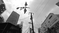 Thumbnail for version as of 15:53, 8 May 2021