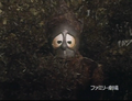 Thumbnail for version as of 23:14, 7 July 2016