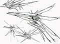 Thumbnail for version as of 00:53, 20 October 2021