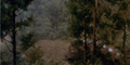 Thumbnail for version as of 22:40, 22 February 2019