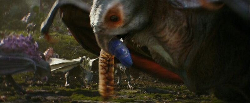 File:GxK - Hellhawks eating grubs.jpg