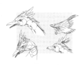 Thumbnail for version as of 22:50, 5 July 2016