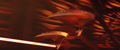 Thumbnail for version as of 13:45, 22 September 2017