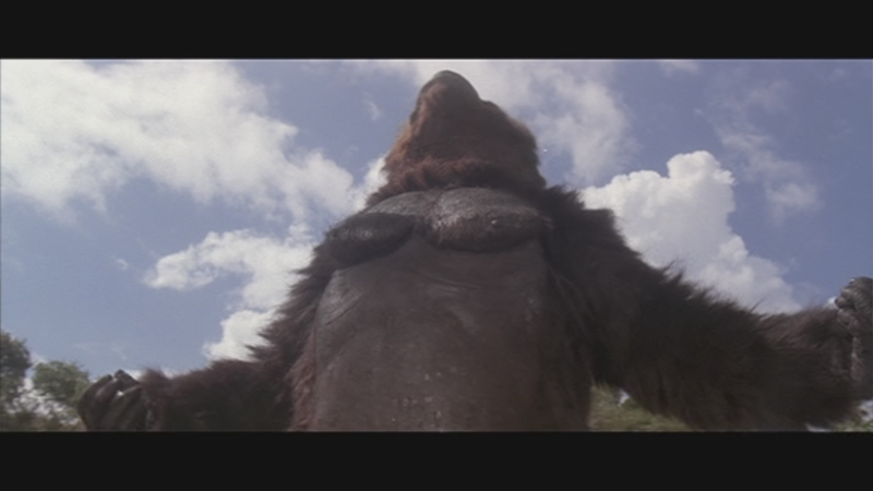 File:Lady Kong's First Appearance.png