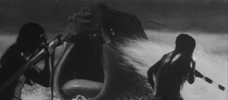File:Whale God derp a herp.jpg