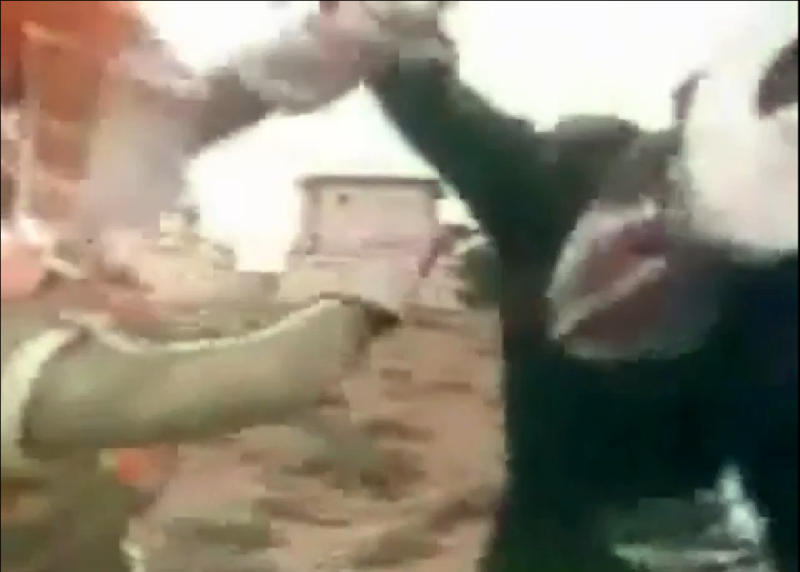 File:Zarizon battling Greenman closeup.png