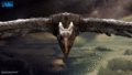 Thumbnail for version as of 07:46, 16 June 2019