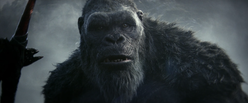 File:GxK - Kong 3.png