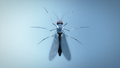 Thumbnail for version as of 16:03, 2 August 2016